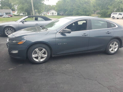 2019 Chevrolet Malibu for sale at Economy Motors in Muncie IN
