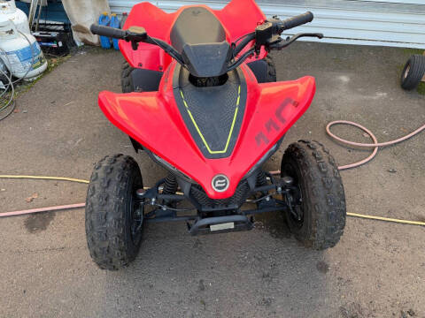 2023 CFMoto CForce EV110