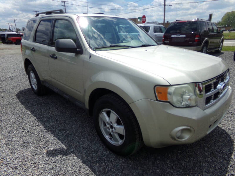 2010 Ford Escape XLT