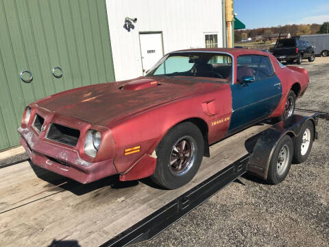 1976 Pontiac Firebird Trans Am for sale at 500 CLASSIC AUTO SALES in Knightstown IN