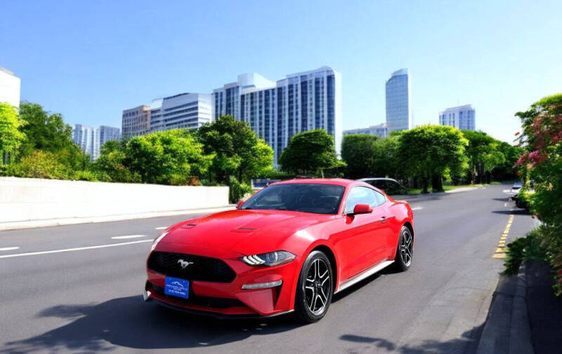 2019 Ford Mustang EcoBoost