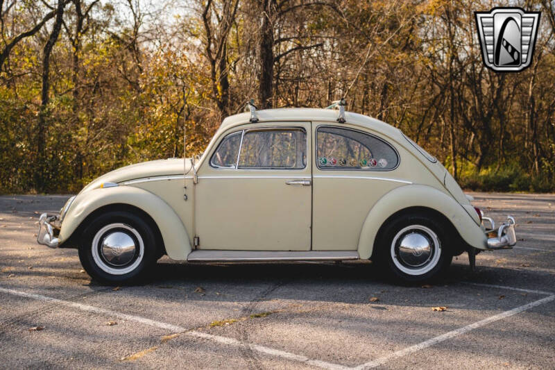 1965 Volkswagen Beetle