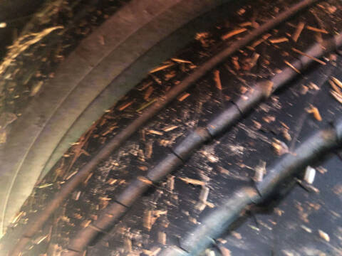 2009 Blue Bird Vision