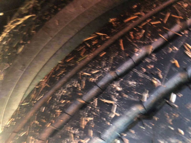 2009 Blue Bird Vision