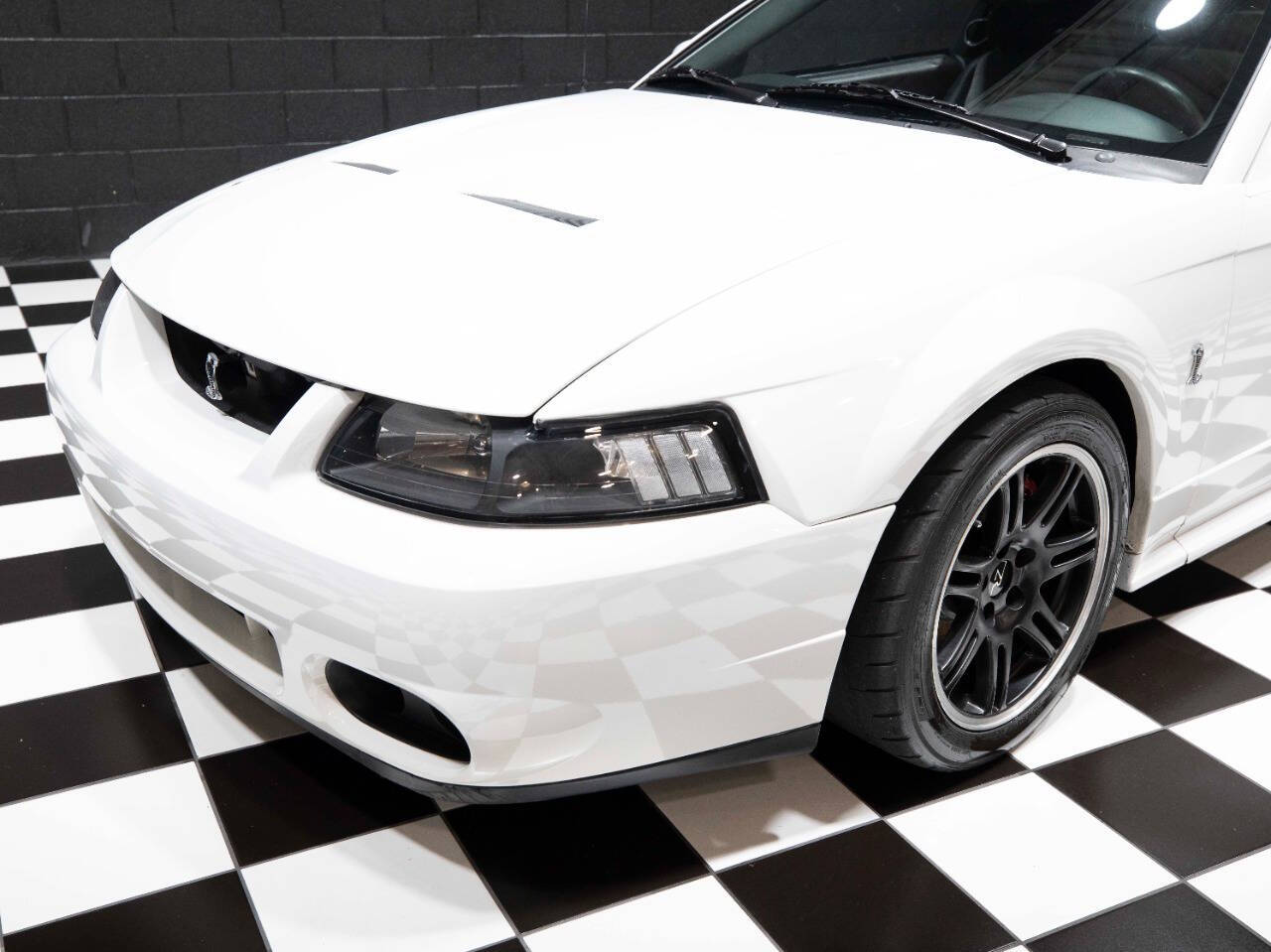 2003 Ford Mustang SVT Cobra 5