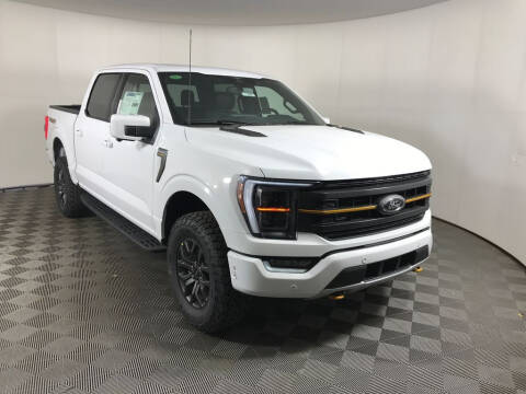 2023 Ford F-150 for sale at Everyone's Financed At Borgman in Grandville MI