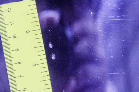 2012 Ford Mustang GT