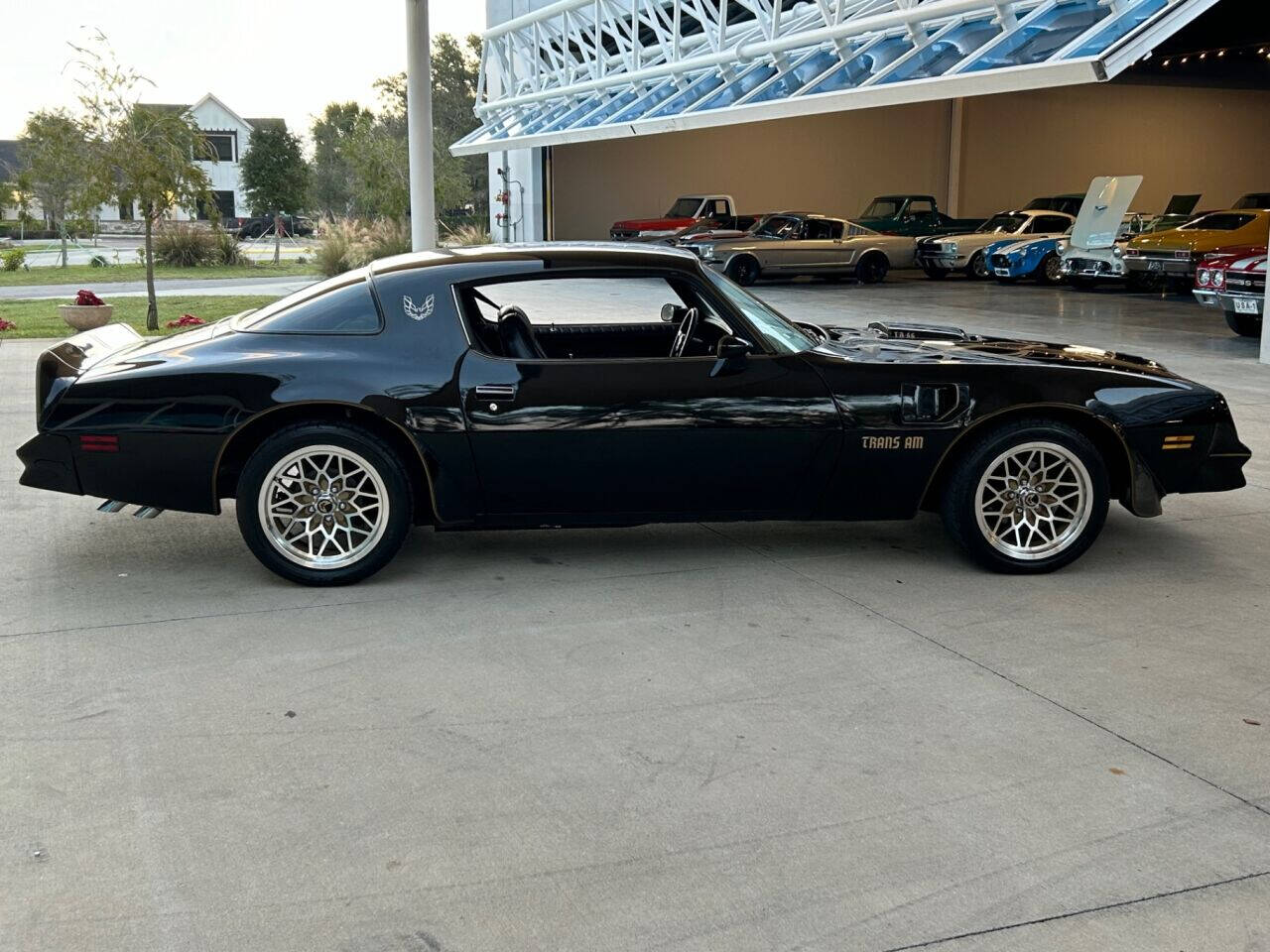 1977 Pontiac Trans Am For Sale | AllCollectorCars.com