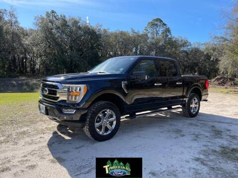 2021 Ford F-150 for sale at TIMBERLAND FORD in Perry FL