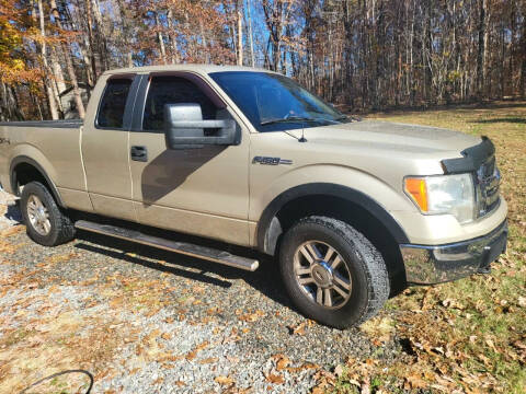 2010 Ford F-150 for sale at Blake Motors in Henrico VA