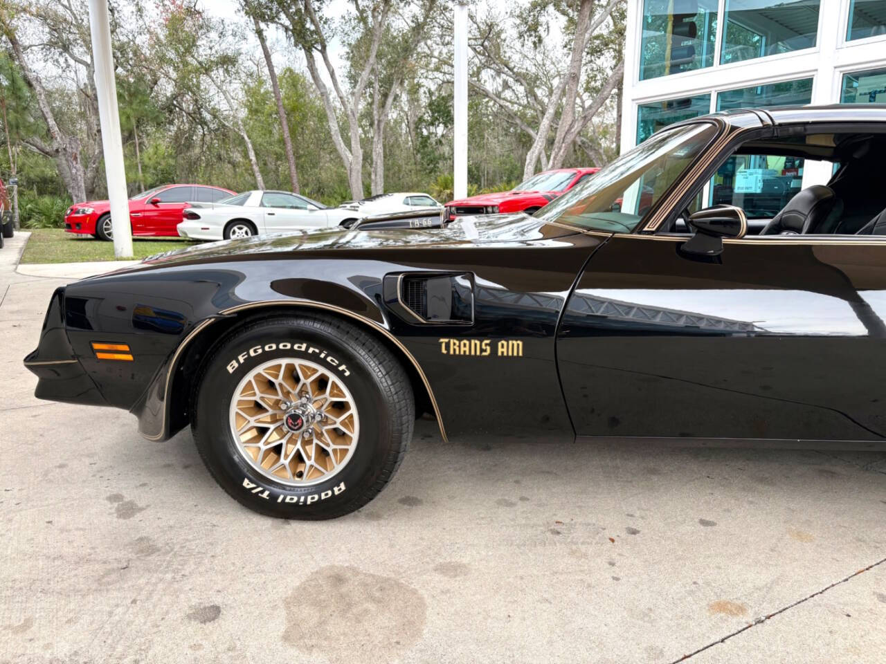 1977 Pontiac Firebird 48