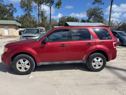 2012 Ford Escape XLS