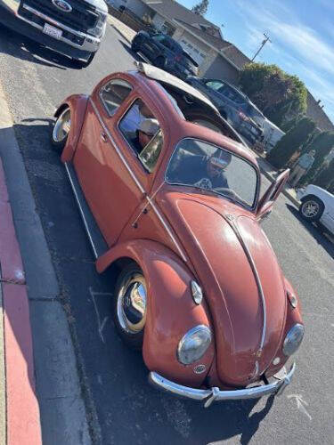 1958 Volkswagen Beetle