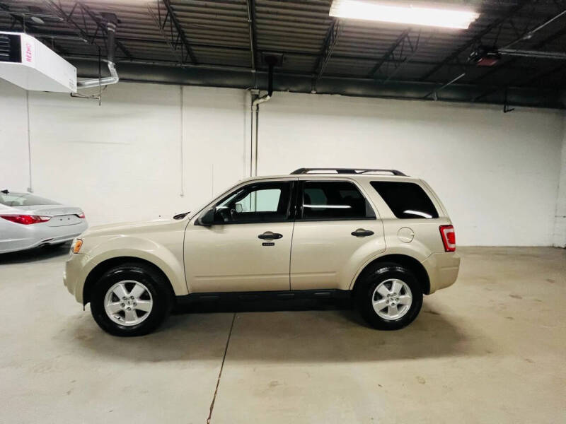 2010 Ford Escape XLT