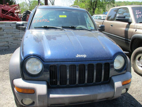 2004 Jeep Liberty for sale at FERNWOOD AUTO SALES in Nicholson PA