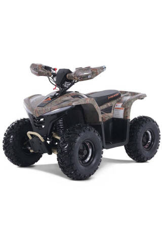 2025 Denago E-Hawk 6