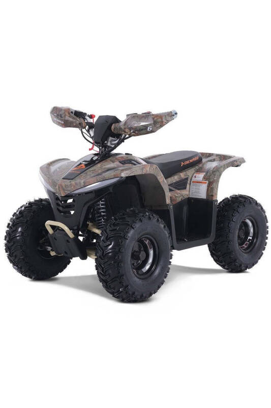 2025 Denago E-Hawk 6