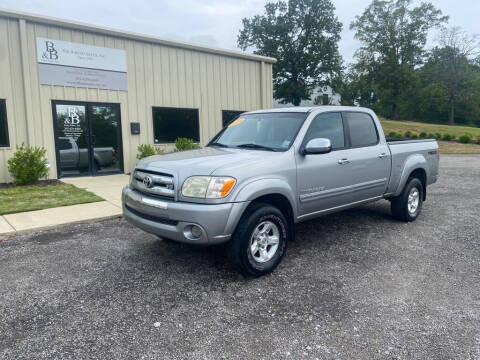 2005 Toyota Tundra for sale at B & B AUTO SALES INC - Ashville in Ashville AL