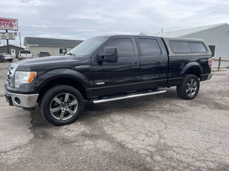 2011 Ford F-150 for sale at Mikes Auto Inc in Grand Junction CO