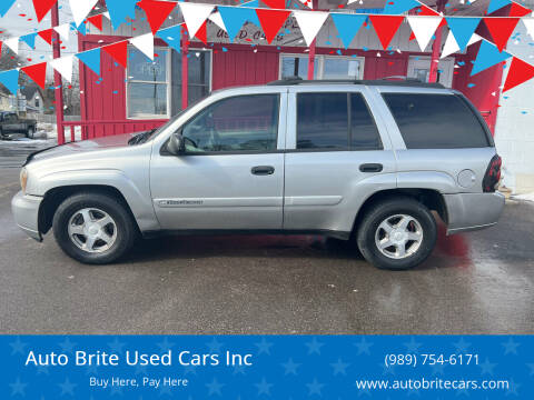 2004 Chevrolet TrailBlazer for sale at Auto Brite Used Cars Inc in Saginaw MI