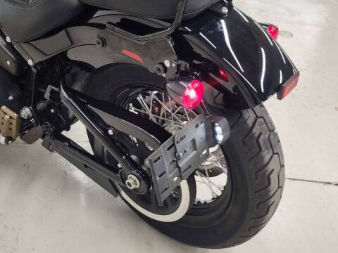 2020 Harley-Davidson Softail