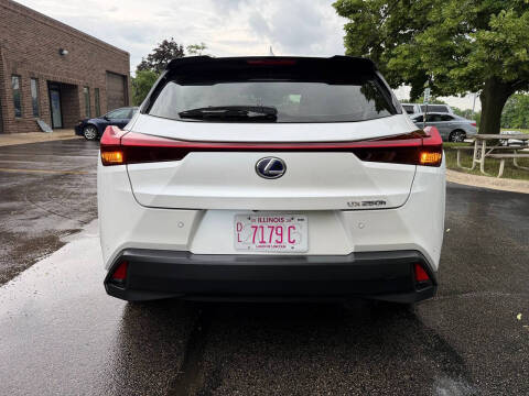 2021 Lexus UX 250h