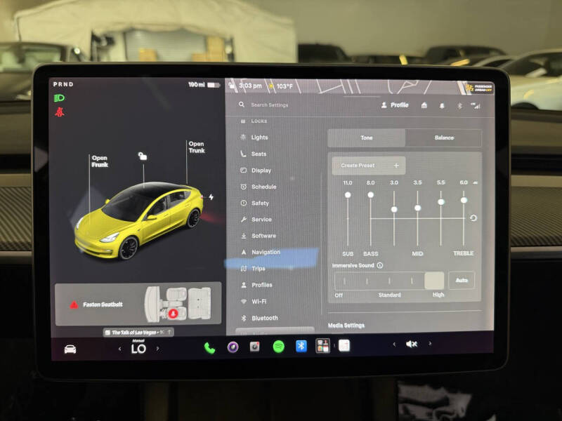 2021 Tesla Model 3 Performance