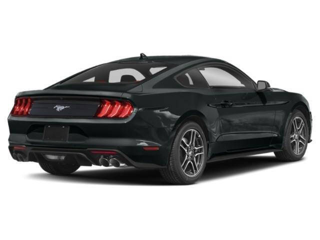 2023 Ford Mustang EcoBoost