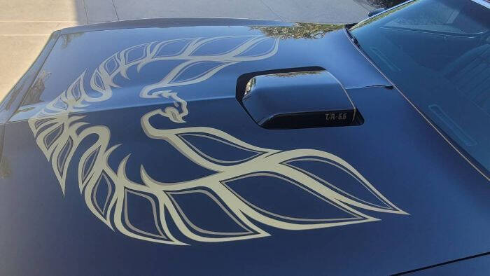 1978 Pontiac Trans Am