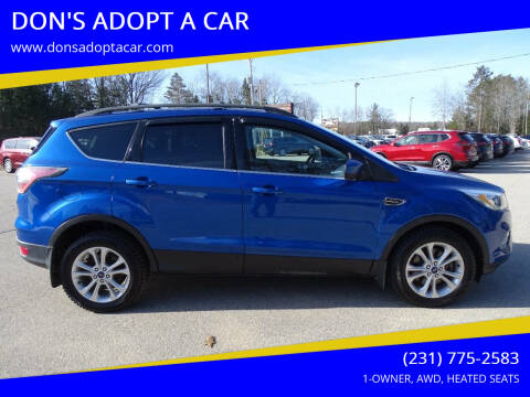 2017 Ford Escape for sale at DON'S ADOPT A CAR in Cadillac MI