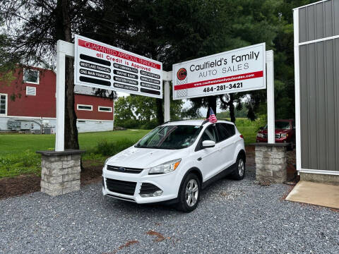 2016 Ford Escape for sale at Caulfields Family Auto Sales in Bath PA