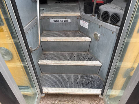 2010 Blue Bird Vision