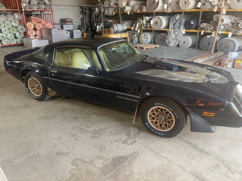 1981 Pontiac Firebird Trans Am