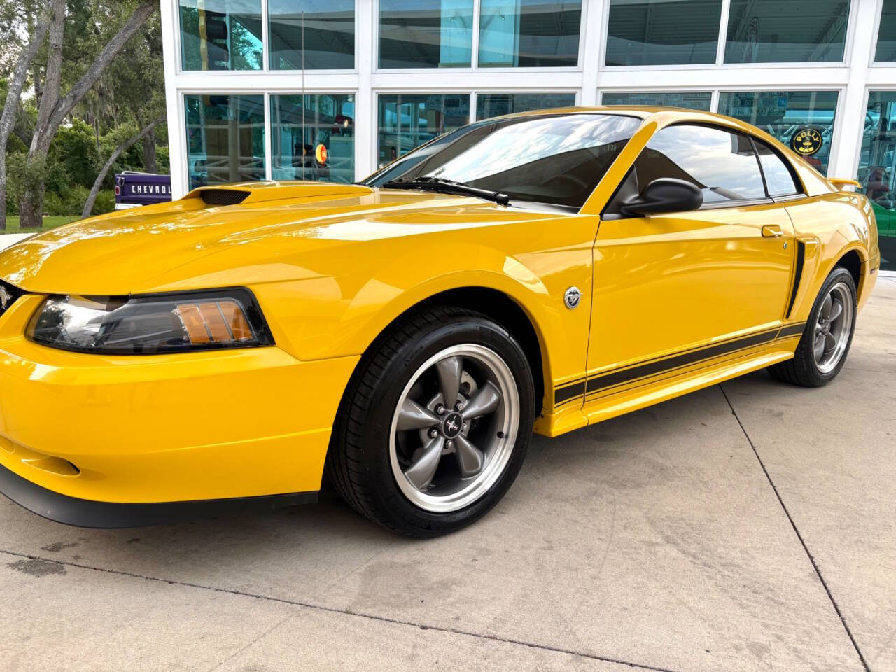 2004 Ford Mustang 12