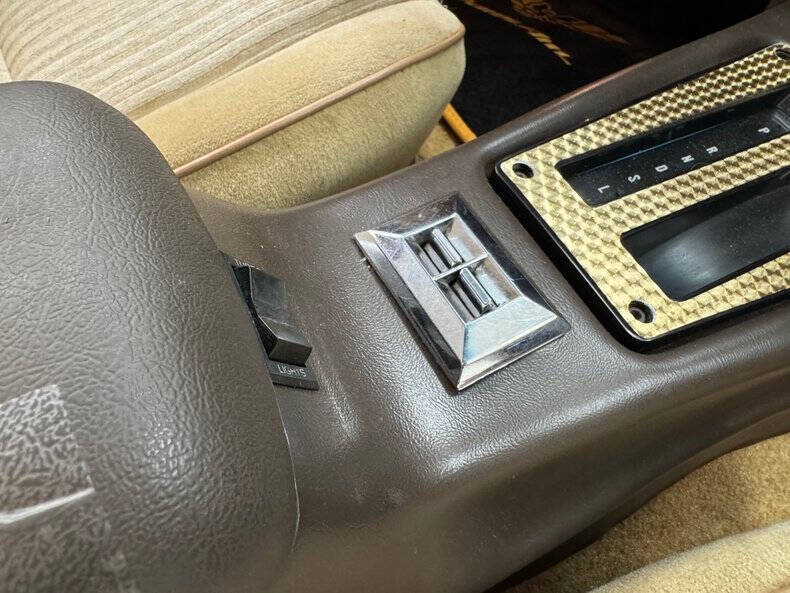 1981 Pontiac Firebird Trans Am