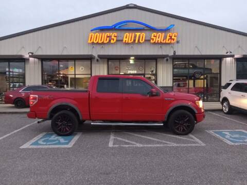 2010 Ford F-150 for sale at DOUG'S AUTO SALES INC in Pleasant View TN
