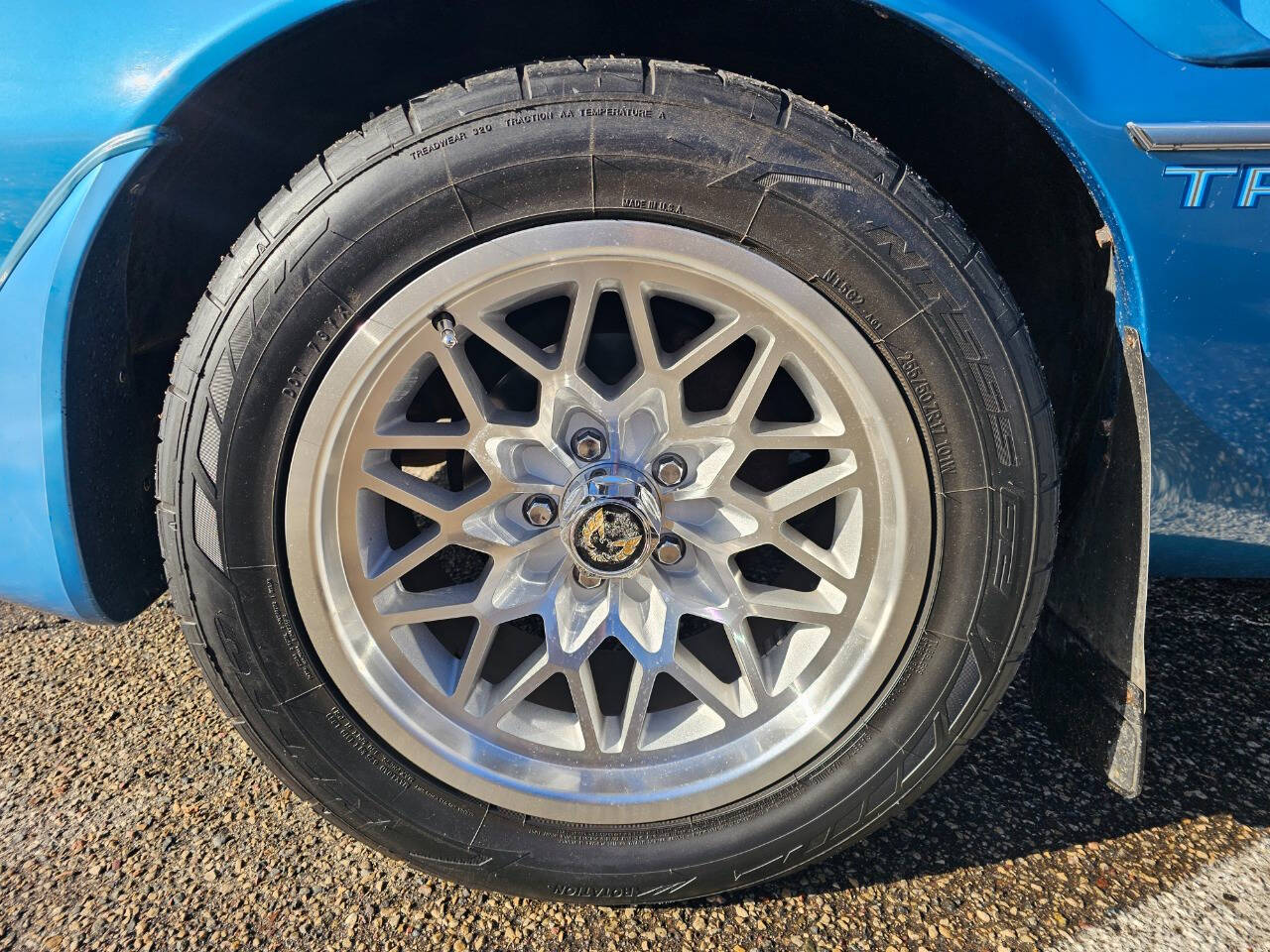 1980 Pontiac Firebird Trans Am 171