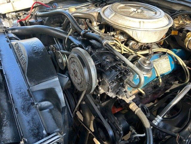 1979 Ford Thunderbird 6