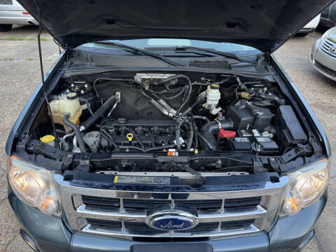 2010 Ford Escape XLT