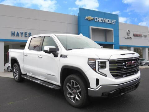 2023 GMC Sierra 1500 for sale at HAYES CHEVROLET Buick GMC Cadillac Inc in Alto GA