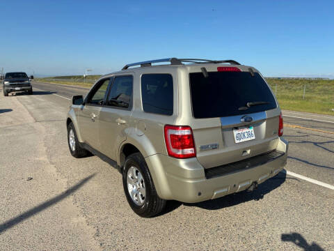 2011 Ford Escape Limited