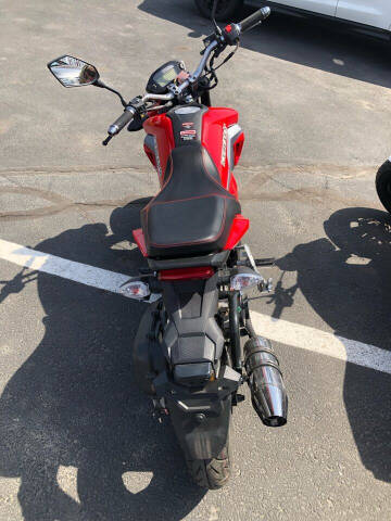 2022 DAIX ICE BEAR MINI MAX 50cc