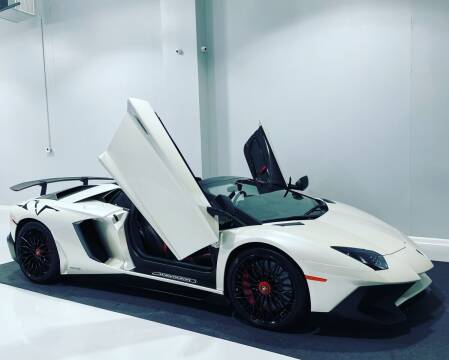 2017 Lamborghini Aventador for sale at POTOMAC WEST MOTORS in Springfield VA