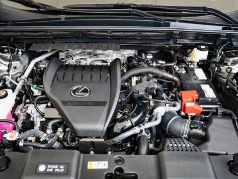 2025 Lexus NX 350 Premium