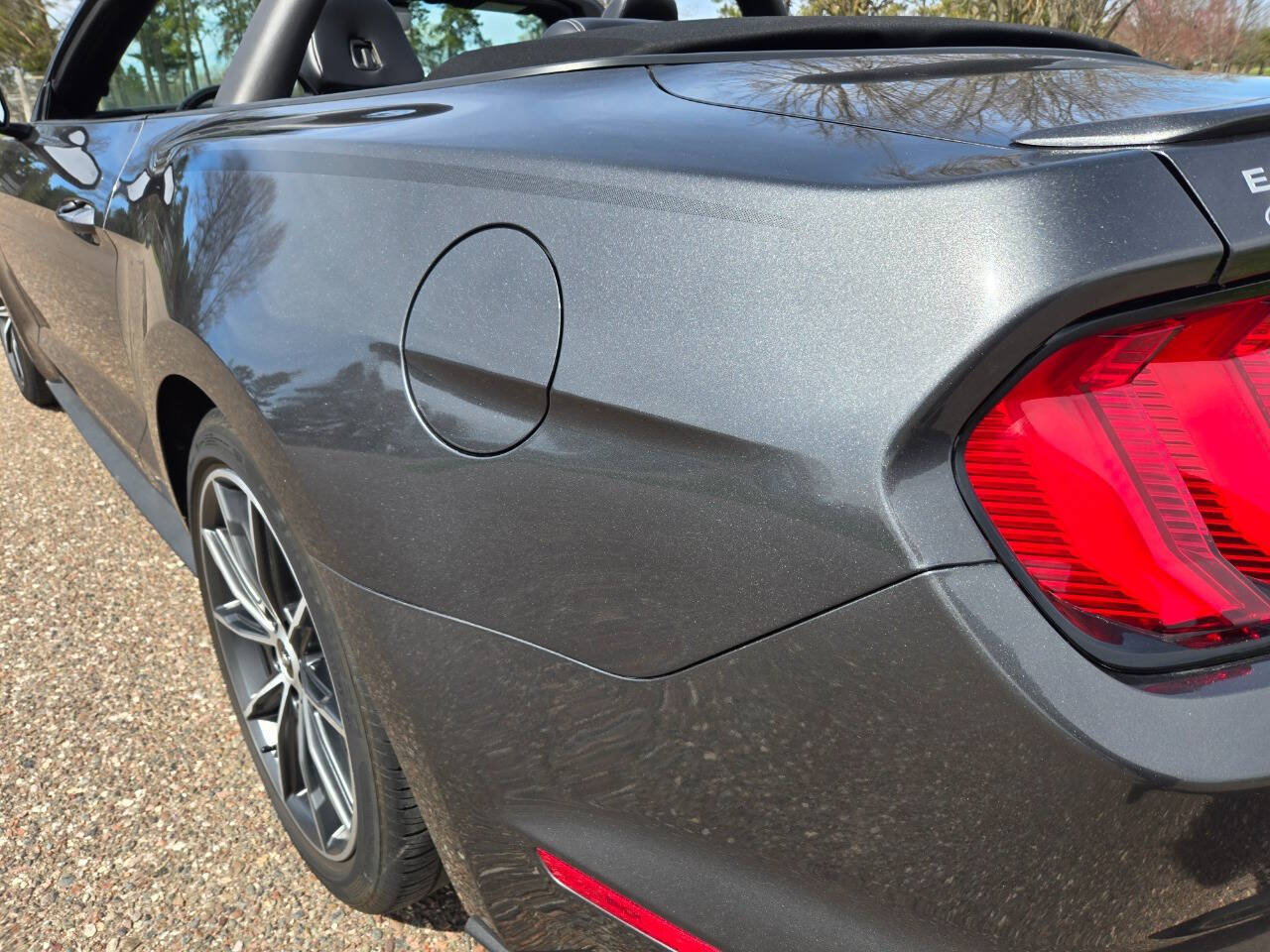 2019 Ford Mustang 41