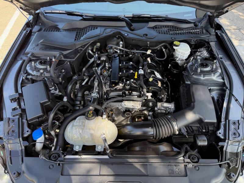 2023 Ford Mustang EcoBoost