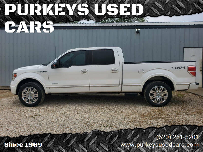 2013 Ford F-150 Platinum's photo