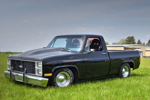 1981 Chevrolet C/K 10 Series for sale at Hooked On Classics in Excelsior MN