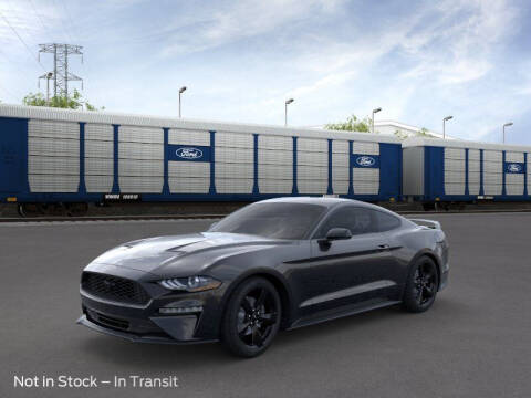 2023 Ford Mustang for sale at Mac Haik Ford Pasadena in Pasadena TX
