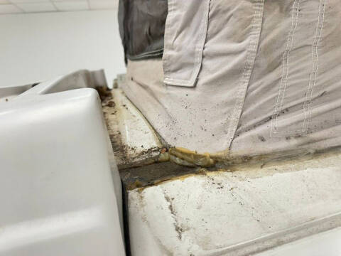 1995 Volkswagen EuroVan Campmobile